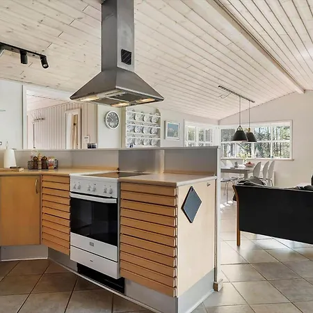 Tv1659-jerup-kippen-9 Tatil Evi Jerup